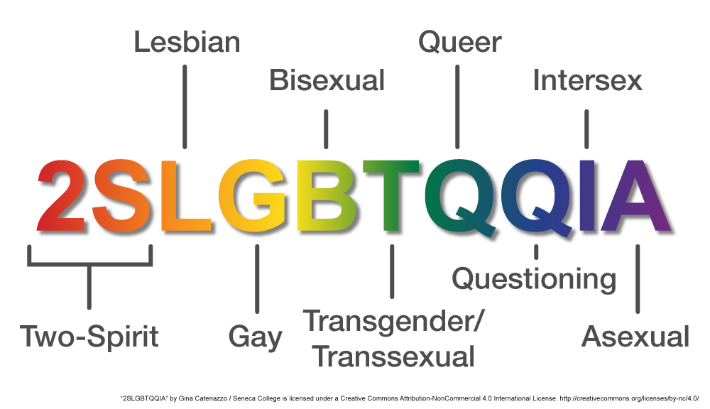 Infographic identifying the mean if each letter in the 2 S L G B T A A I A acronym. Description follows.